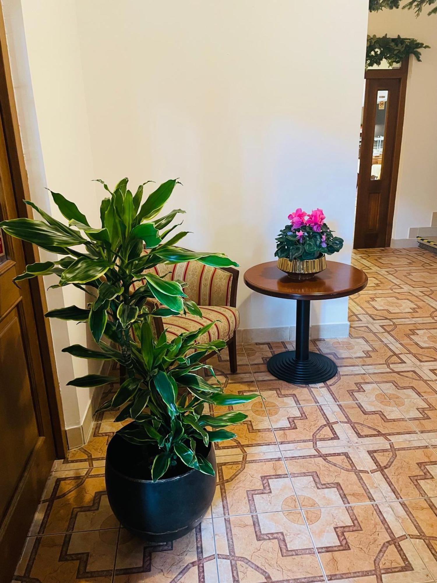Hotel Majovey Żylina Zewnętrze zdjęcie